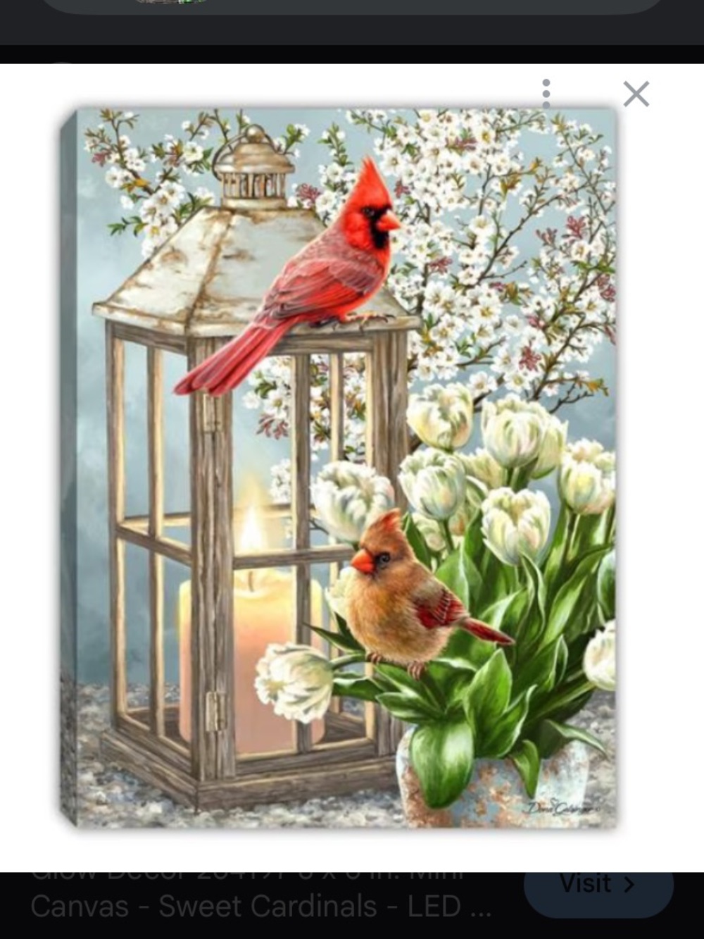 PICK ANY 3 ITEMS FOR $10 - NEW EVERGREEN GARDEN FLAG